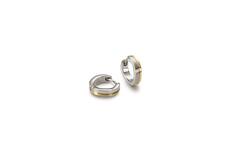 Boccia oorringen titanium bicolor