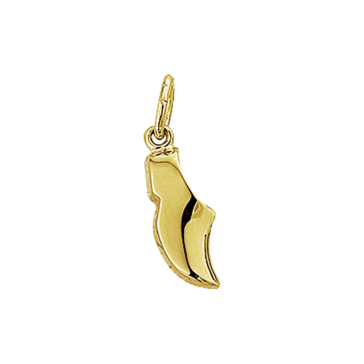 Geelgouden hanger klomp 14.5mm