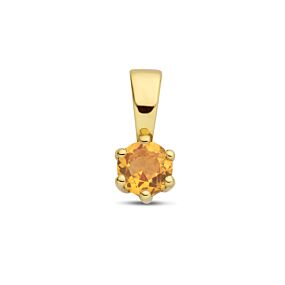 Geelgouden hanger november citrien