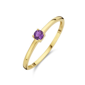 Geelgouden ring Amethist 0.12ct Februari Maat 16.5
