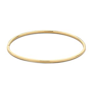 Excellent Geelgouden Bangle platte buis 59mm