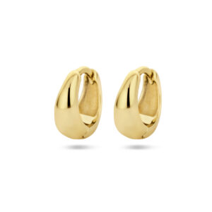 goud op zilver oorringen10mm x 4,5mm