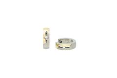 05045-04 Boccia oorringen titanium bicolor 0.04 diamant