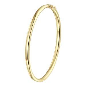 Bangle scharnier ovale buis 4x60mm