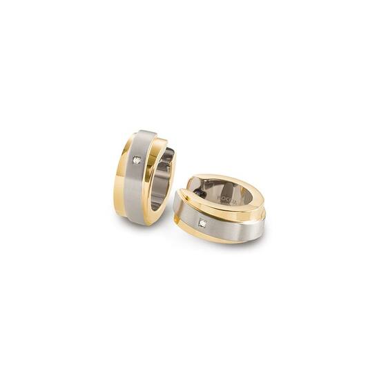0560-07 Boccia oorringen titanium bicolor