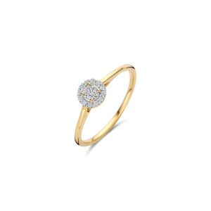 Blush Geelgouden Entouragering met LAB diamanten 0.24 TW/VS maat 54